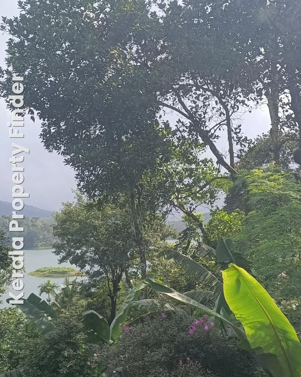 50 cents Scenic Premium Property in Wayanad - Commercial in Padinhara Thara, Wayanad