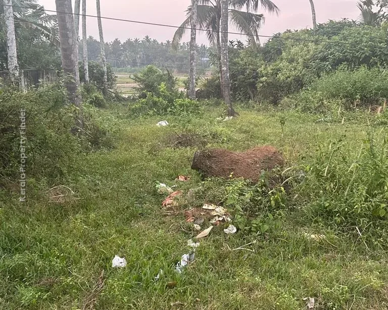 10 cents Residential Plot for Sale at Olari, Chettupuzha, Thrissur - Residential in Olari, Thrissur - photo 5