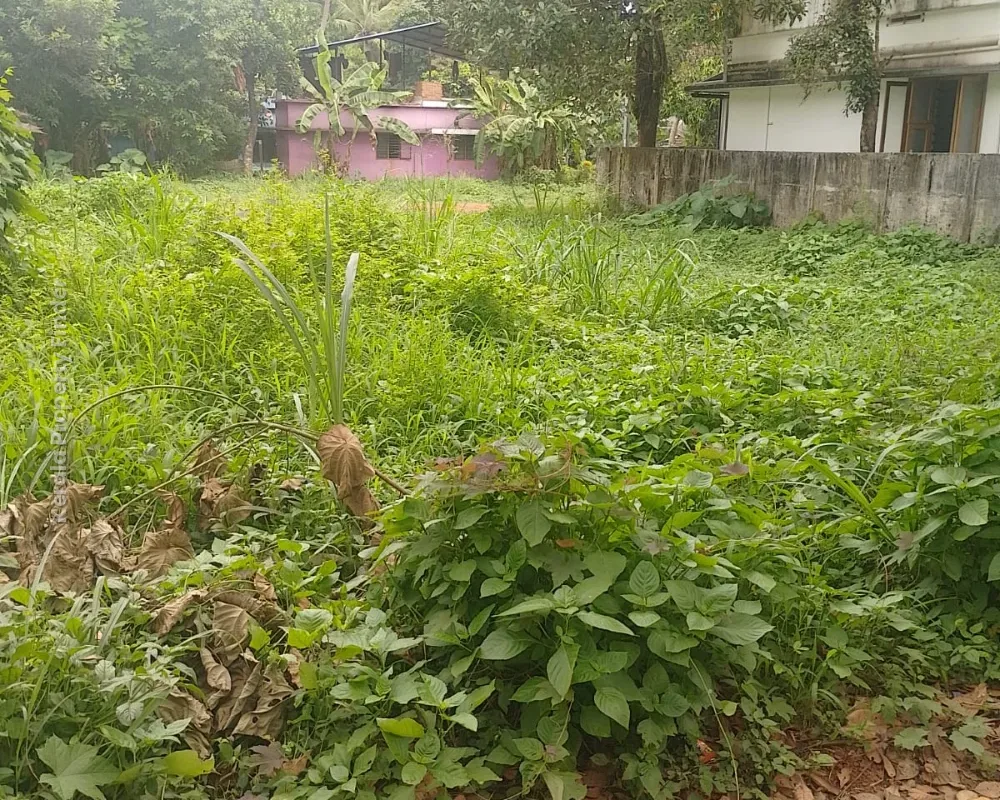 Land for Sale in Amala, Thrissur - Photo 3