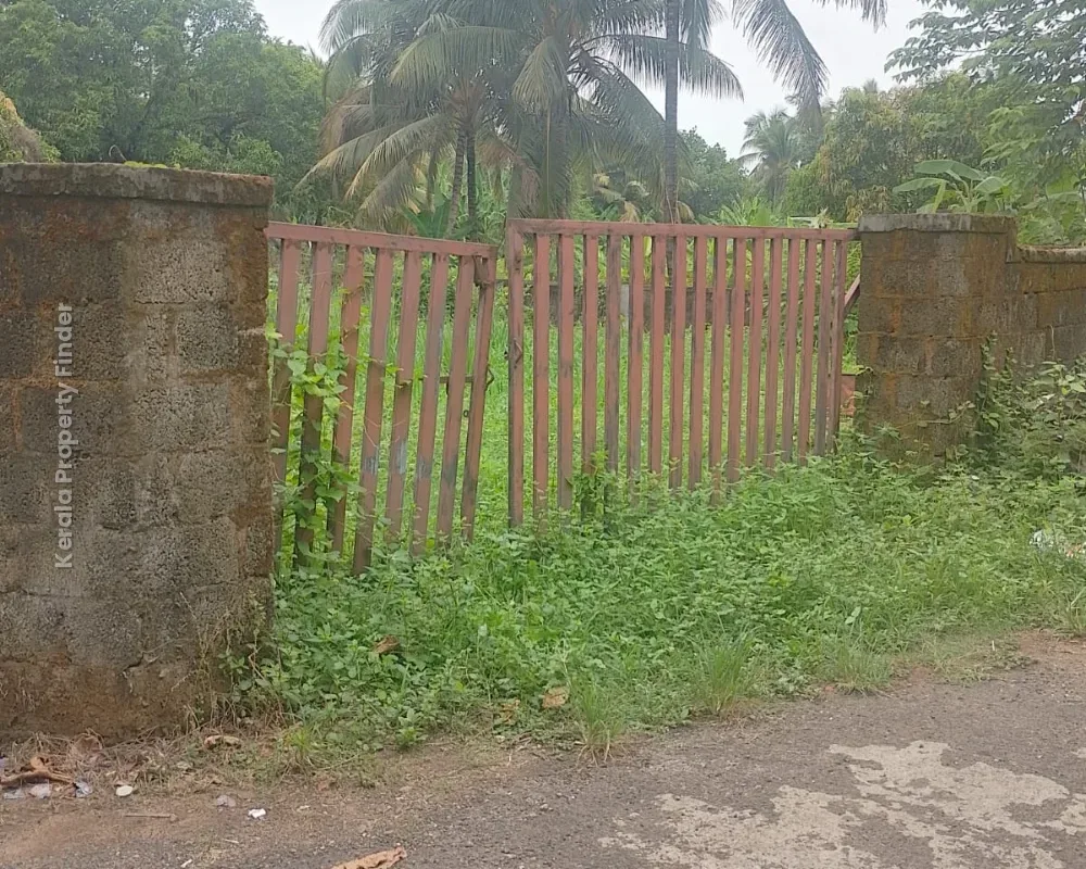 Residential Land-12 cents For sale in Cheroor- Kuttumukku Road, Thrissur - Photo 7