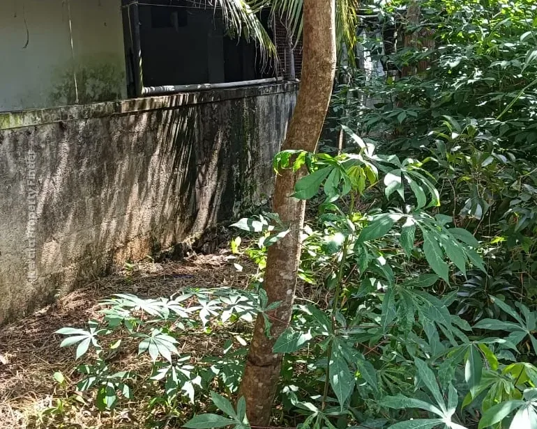 Residential Land- 7.50 Cents For sale in Kuttoor, Naithalakkavu, Thrissur - Photo 6