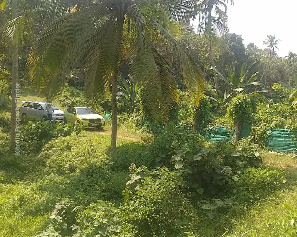 Residential Land for Sale  Poomala, Thrissur - Photo 4