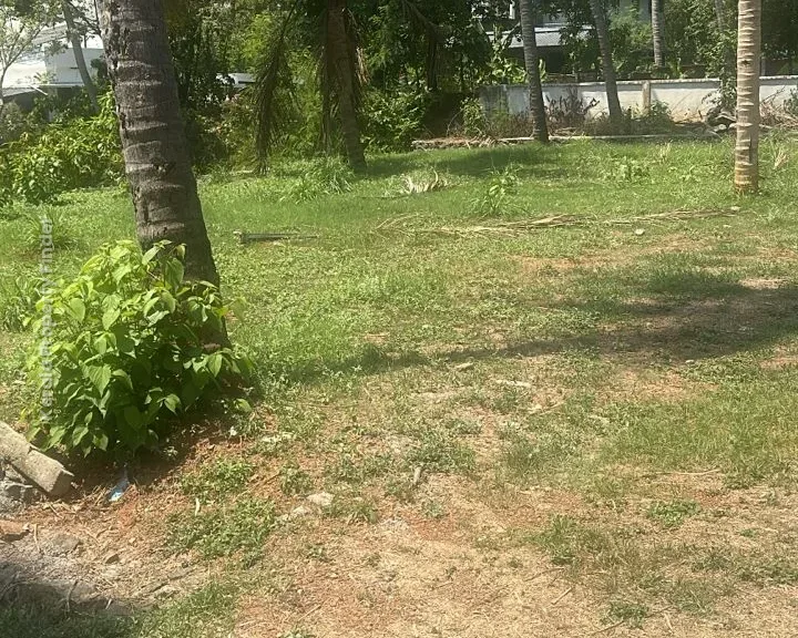 Residential land-9 cents For sale in Aranattukara, Thrissur - Photo 5