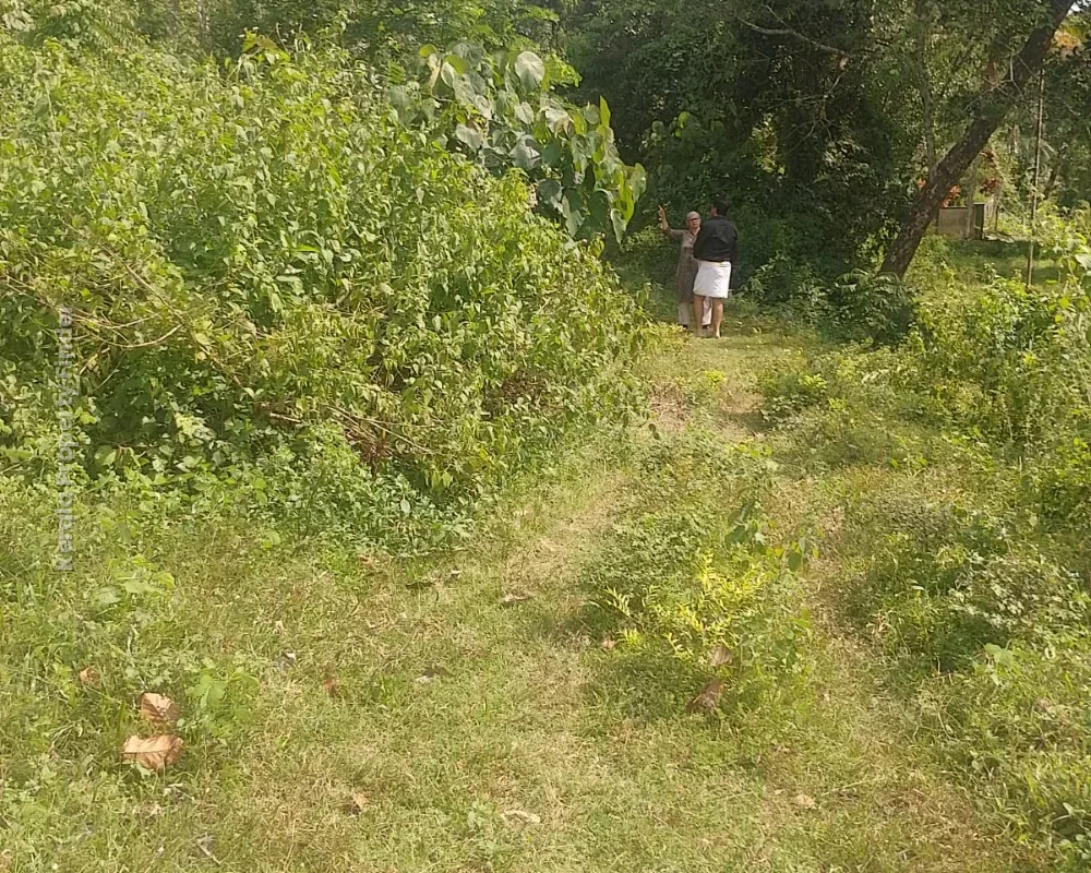 Residential Land for Sale  Poomala, Thrissur - Photo 5