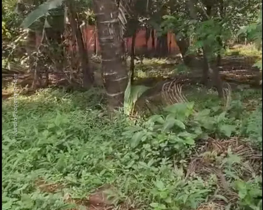 Land with House for Sale in Mannuthy, Mulayam-Koottala - Photo 8