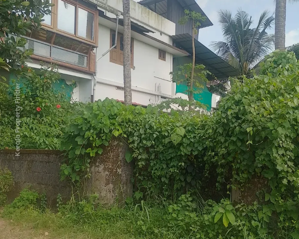 Residential Land for Sale  Pamboor, Thrissur - Photo 5