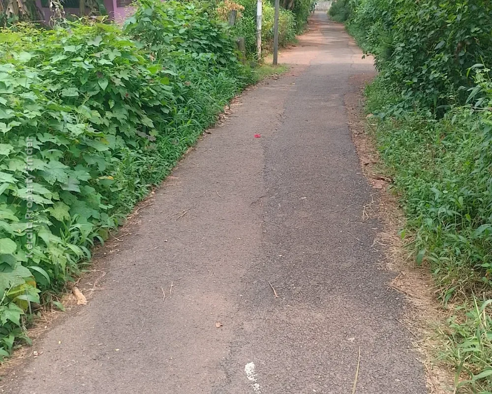 Land for Sale in Amala, Thrissur - Photo 4