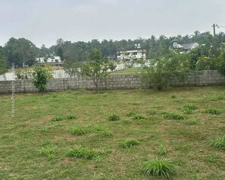 Residential Land  10 ,11 cents  for sale in Kechery Center, Thrissur - Photo 4