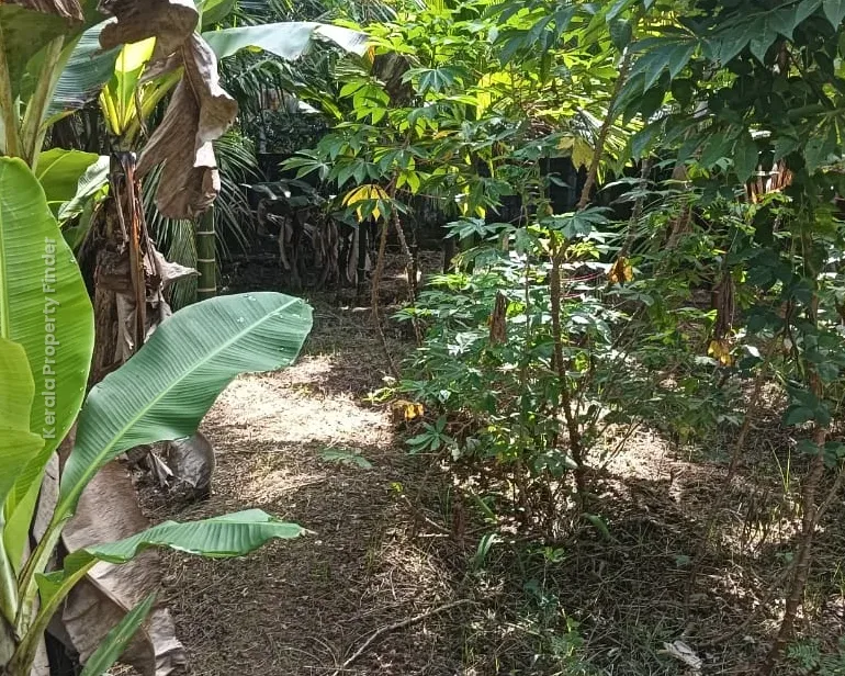 Residential Land- 7.50 Cents For sale in Kuttoor, Naithalakkavu, Thrissur - Photo 4