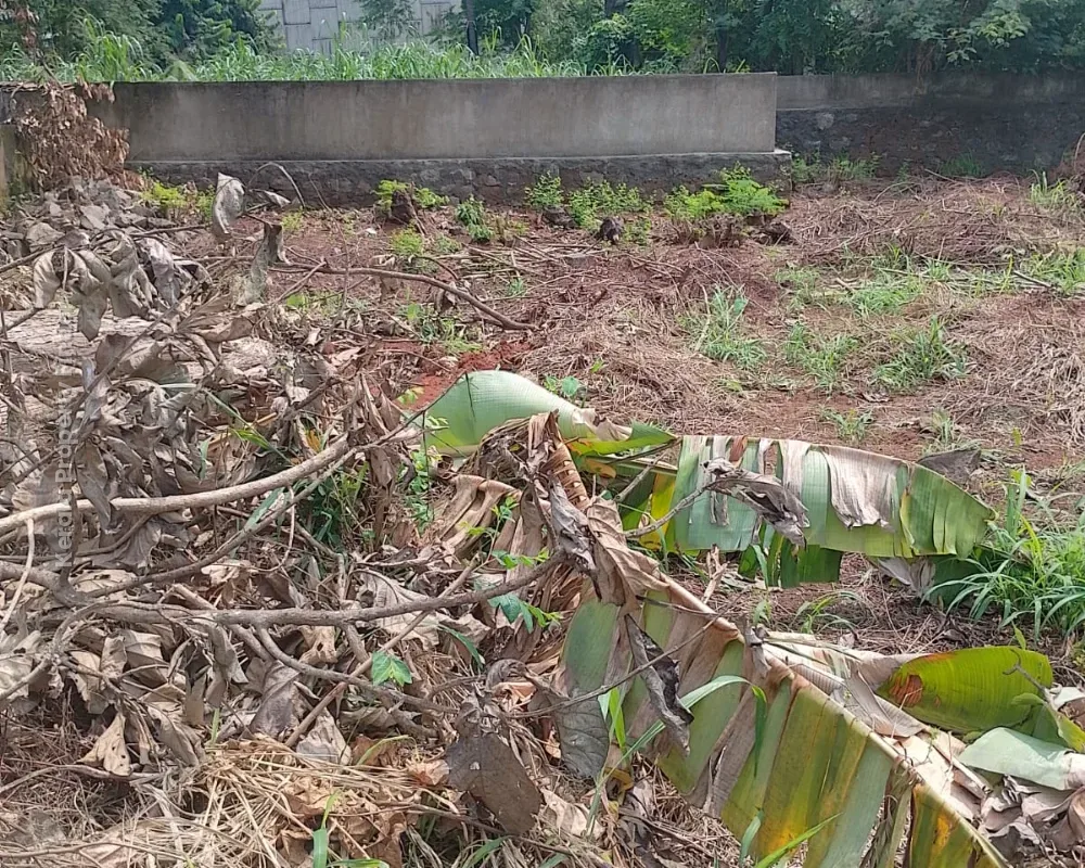Land for Sale in Kuttanellur, Thrissur - Photo 8