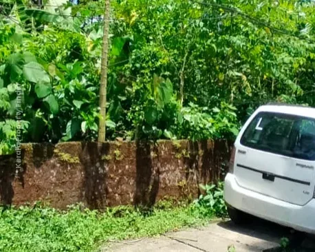 Residential Land-10 cent for sale near Kerala Varma college, Westfort, Thrissur. - Residential in West Fort, Thrissur - photo 2