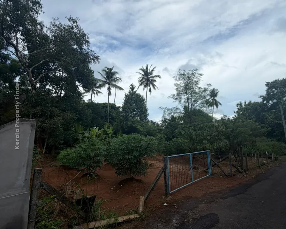 Residential Land for Sale in Koorkenchery  Chiyyaram Main Road, Thrissur - Photo 5