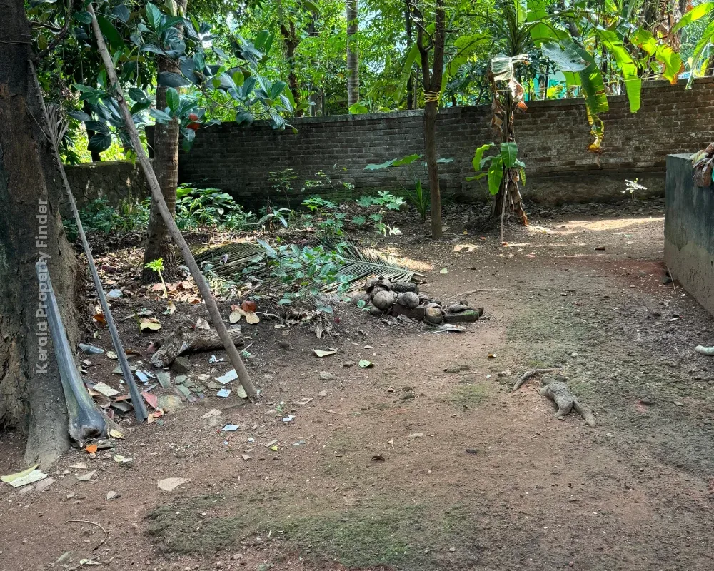 Residential Land With old House for sale in Koorkenchery, Thrissur - Photo 5