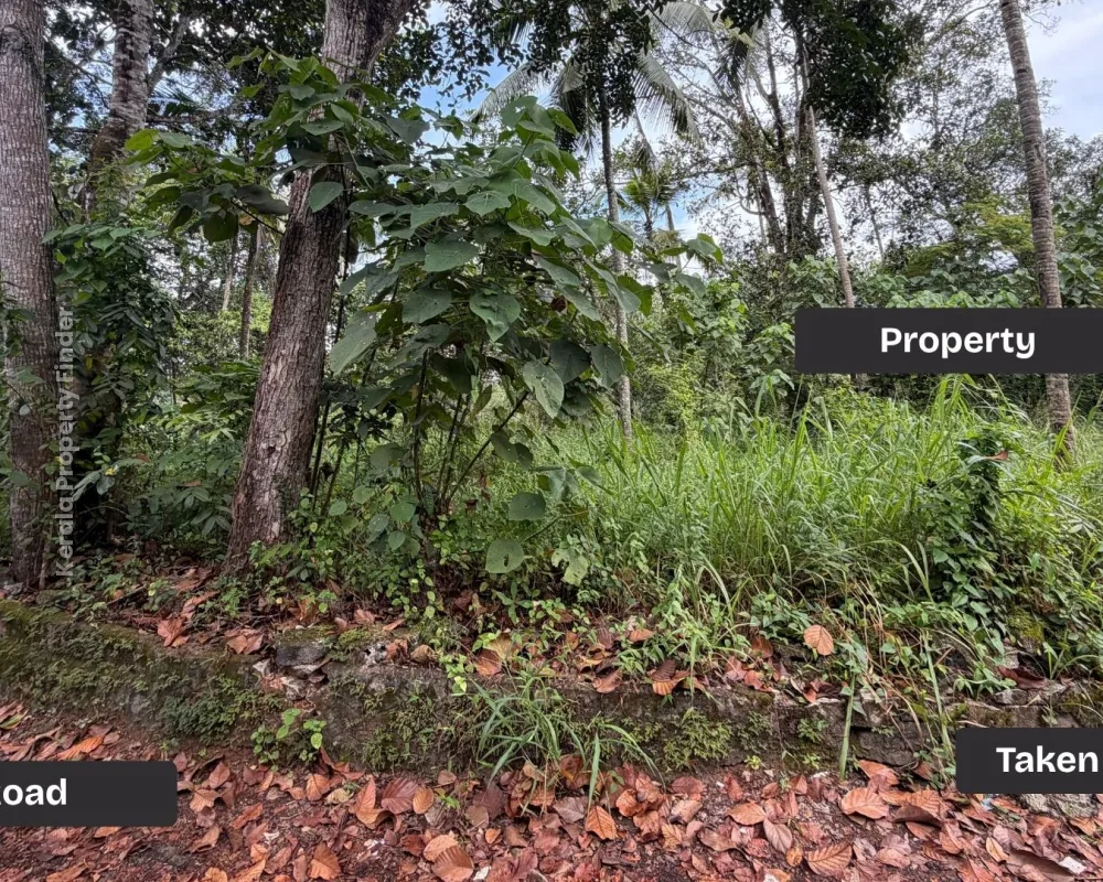 Prime 10-Cent & 18-Cent Land for Sale in Adoor, Kerala  170 m from MC Road - Photo 3