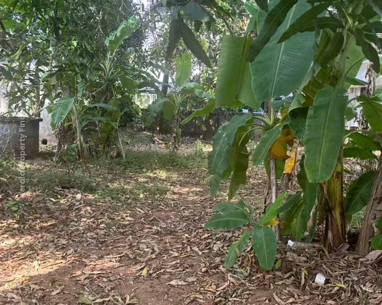 Prime Residential Plot-8 cents for Sale in Chembukavu, Thrissur - Photo 2