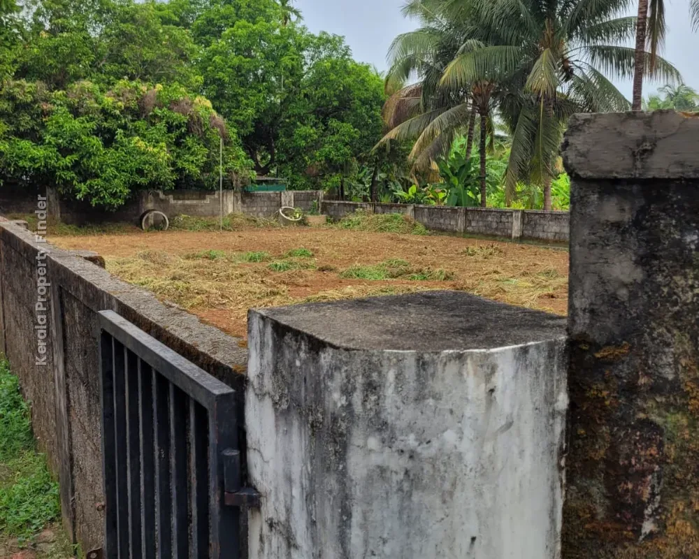 Residential Land-12 cents For sale in Cheroor- Kuttumukku Road, Thrissur - Photo 5