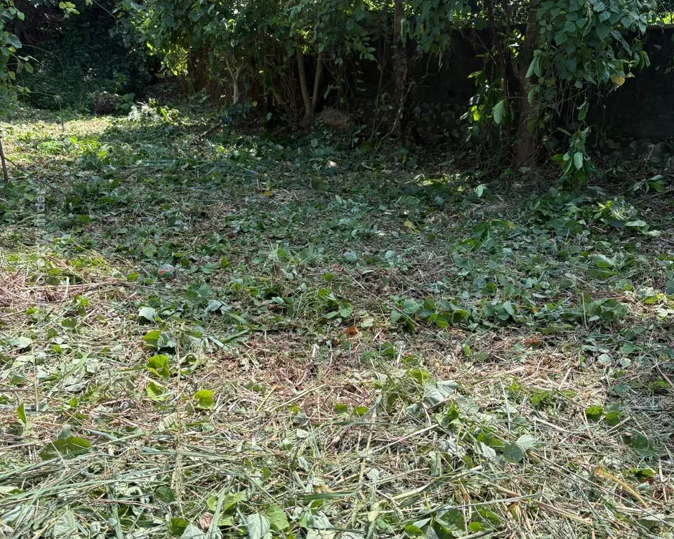 Residential land-10 cent for sale in Velappaya, Main road, Thrissur - Photo 5