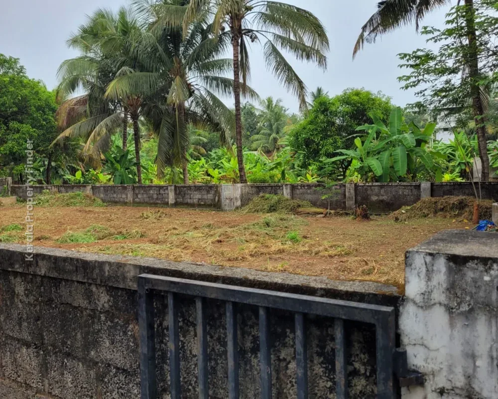 Residential Land-12 cents For sale in Cheroor- Kuttumukku Road, Thrissur - Photo 3