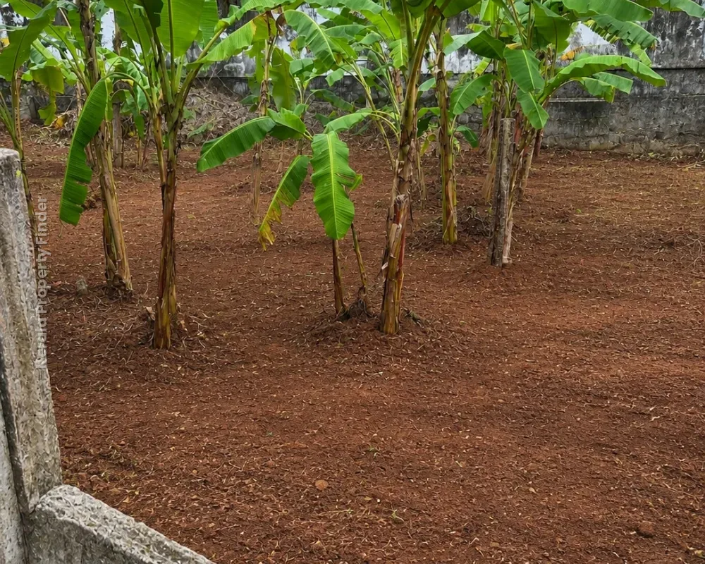 4.5 Cent Residential Plot for Sale  Kottapuram , Thrissur - Photo 4
