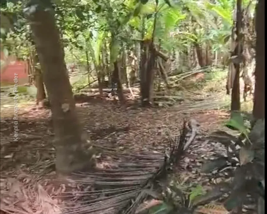 Land with House for Sale in Mannuthy, Mulayam-Koottala - Photo 5