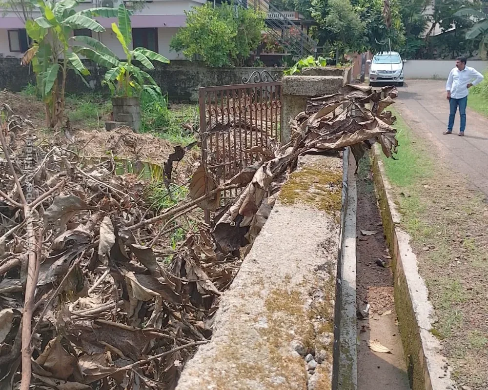 Land for Sale in Kuttanellur, Thrissur - Photo 6