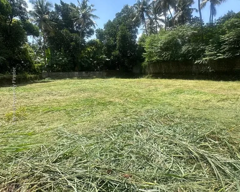 Residential Land for Sale  Chembukkav, Thrissur - Photo 6