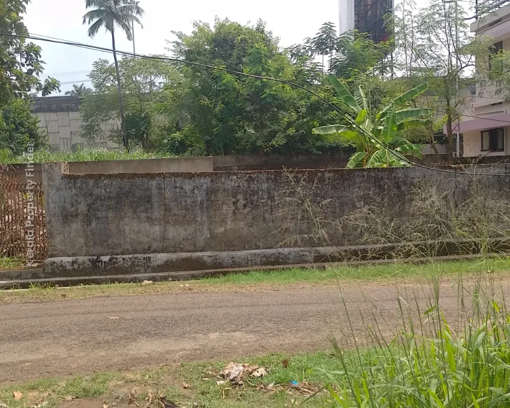 Land for Sale in Kuttanellur, Thrissur - Photo 3