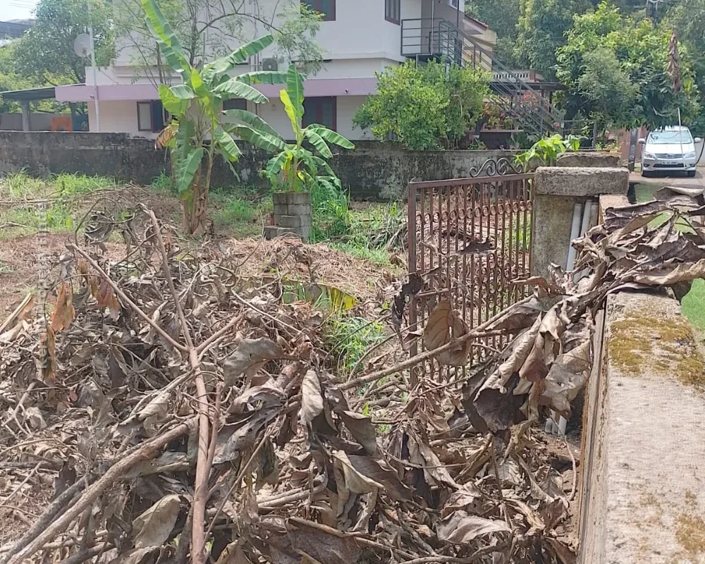 Land for Sale in Kuttanellur, Thrissur - Photo 7