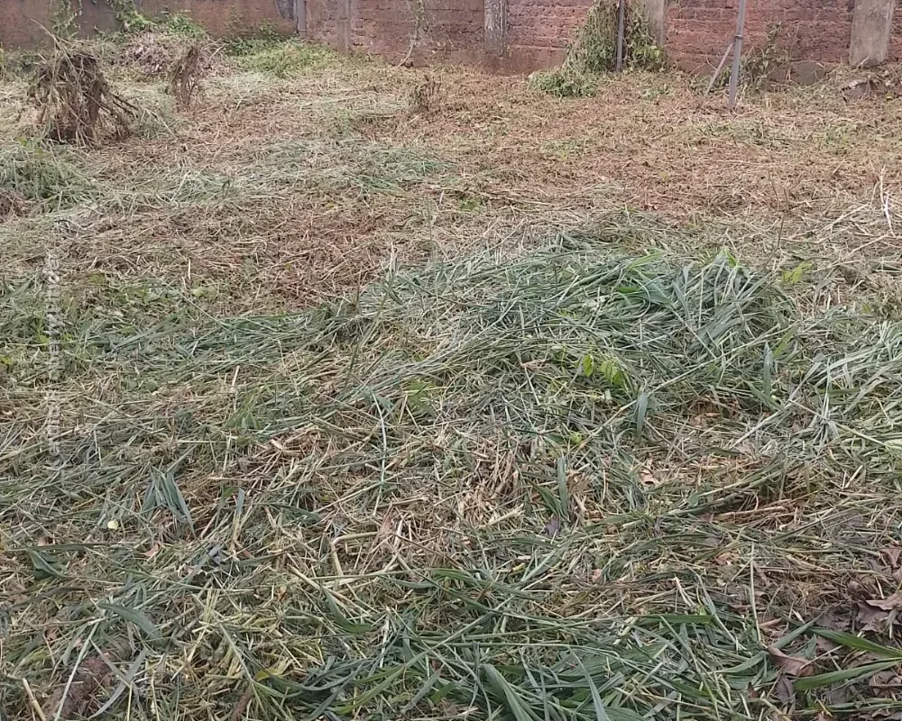 Commercial Land for Sale in West Fort, Near Kerala Varma College, Thrissur - Photo 2