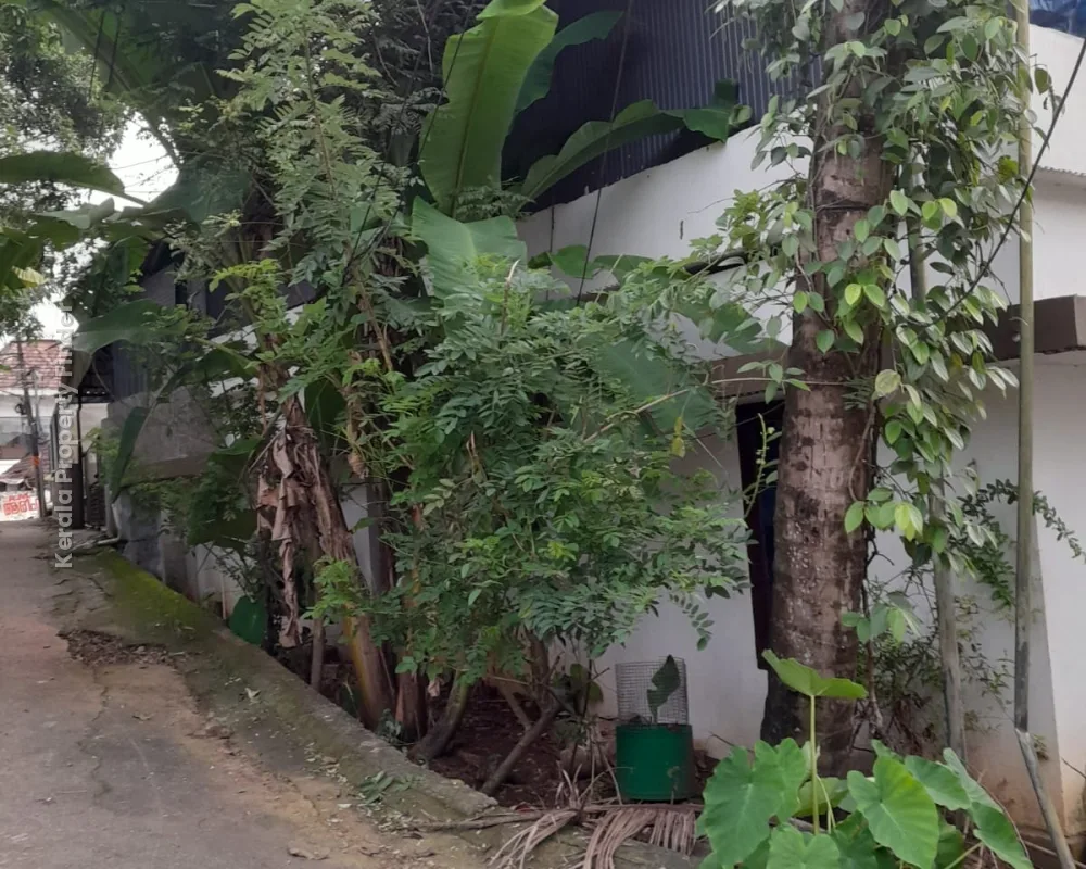 2 BHK Independent House for Urgent Sale in Aluva - Residential in Aluva, Ernakulam - photo 7