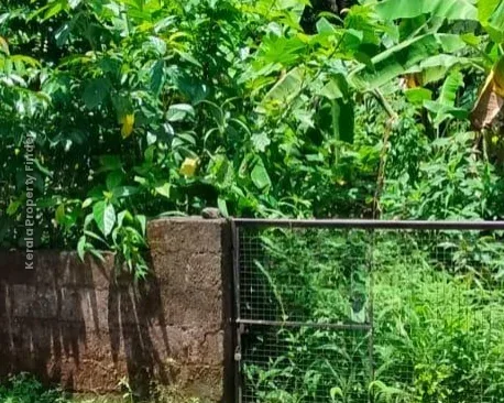 Residential Land-10 cent for sale near Kerala Varma college, Westfort, Thrissur. - Residential in West Fort, Thrissur - photo 4