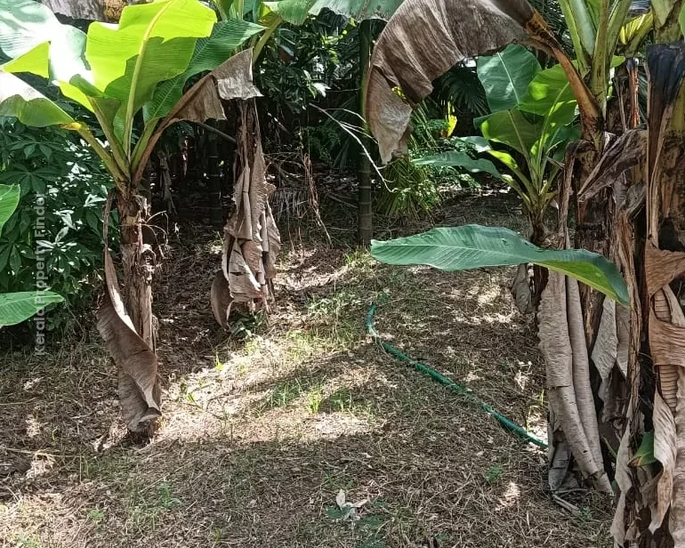 Residential Land- 7.50 Cents For sale in Kuttoor, Naithalakkavu, Thrissur - Photo 3
