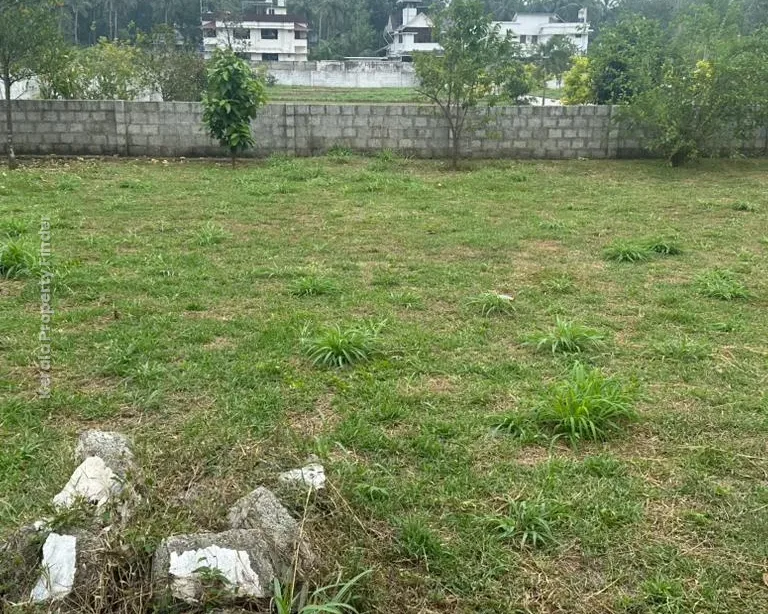 Residential Land  10 ,11 cents  for sale in Kechery Center, Thrissur - Photo 3