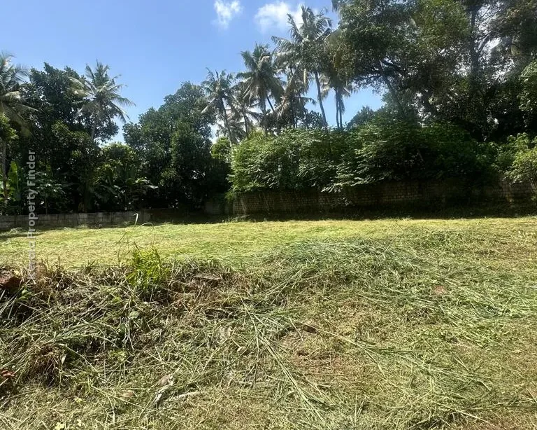 Residential Land for Sale  Chembukkav, Thrissur - Photo 5