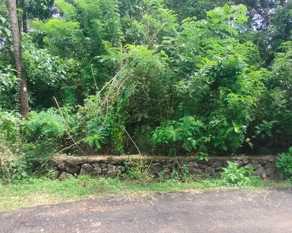 30-cent land for sale in Paravattani, Thrissur - Photo 5