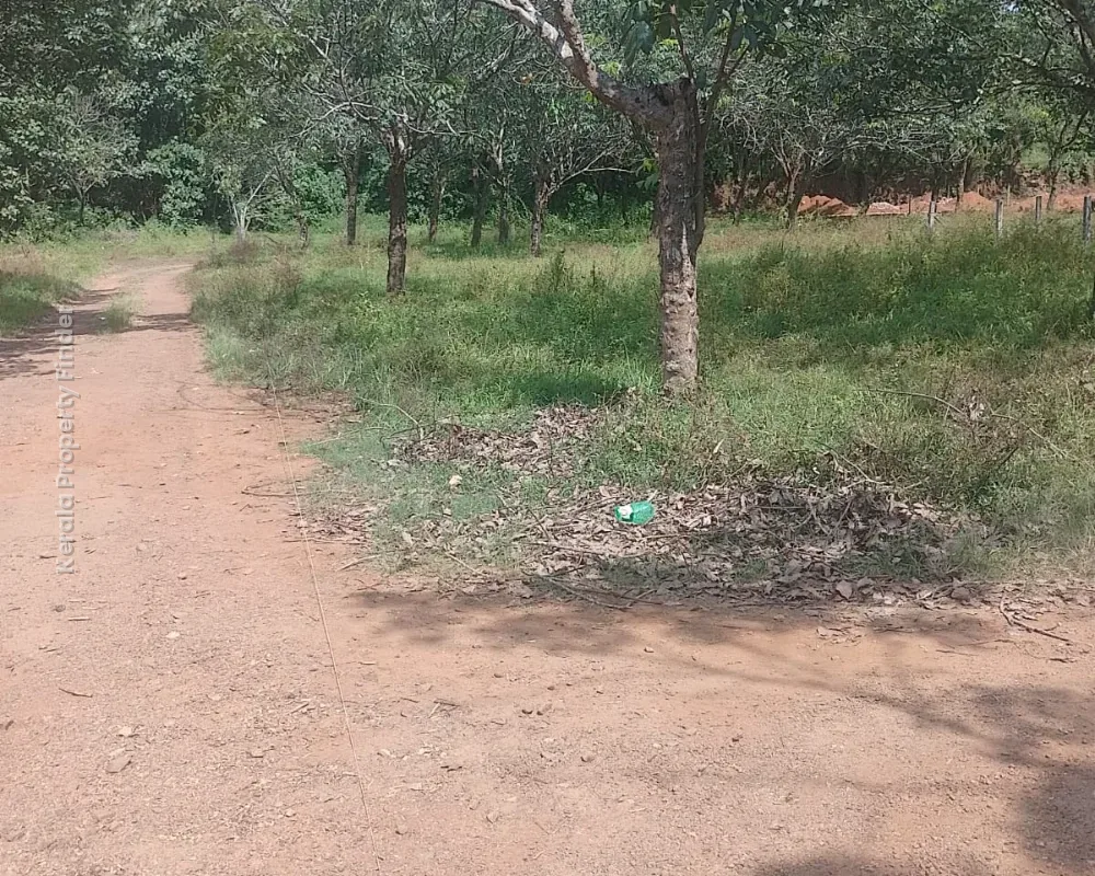 Residential Land for Sale in Kolazhy, Thrissur - Photo 4