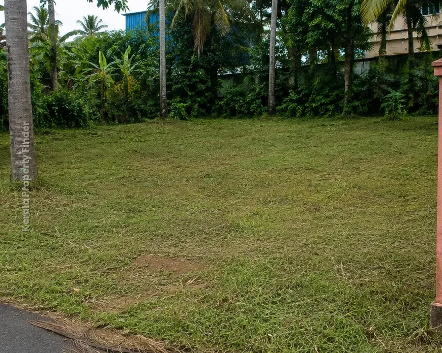 Residential Land for Sale in Kuttanellur, Thrissur - Residential for Sale in Kuttanellur, Thrissur
