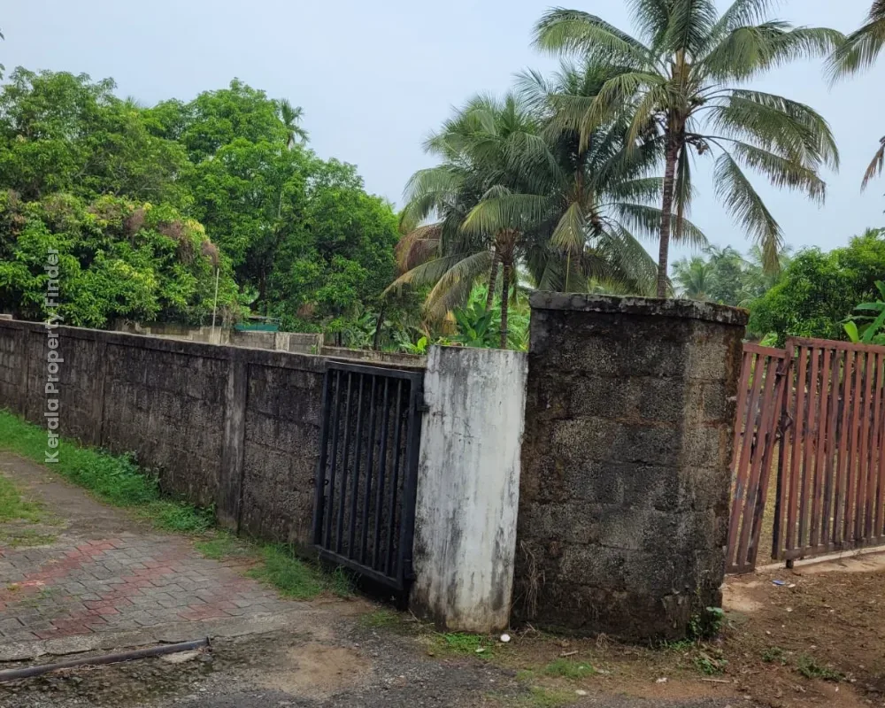 Residential Land-12 cents For sale in Cheroor- Kuttumukku Road, Thrissur - Photo 4