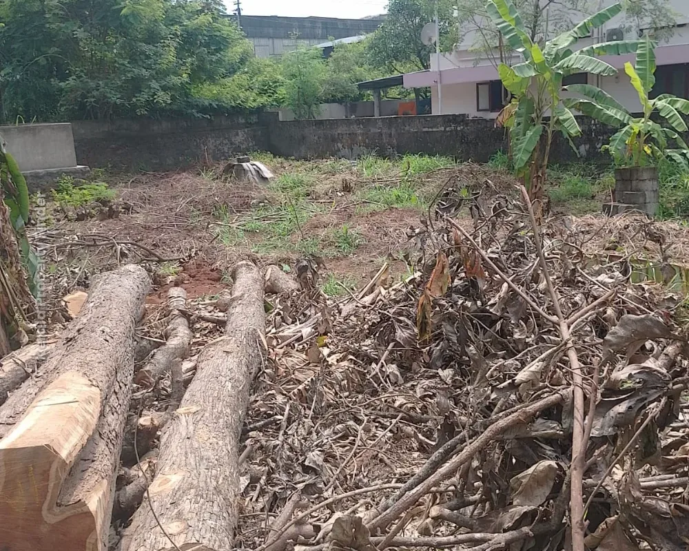 Land for Sale in Kuttanellur, Thrissur - Photo 5