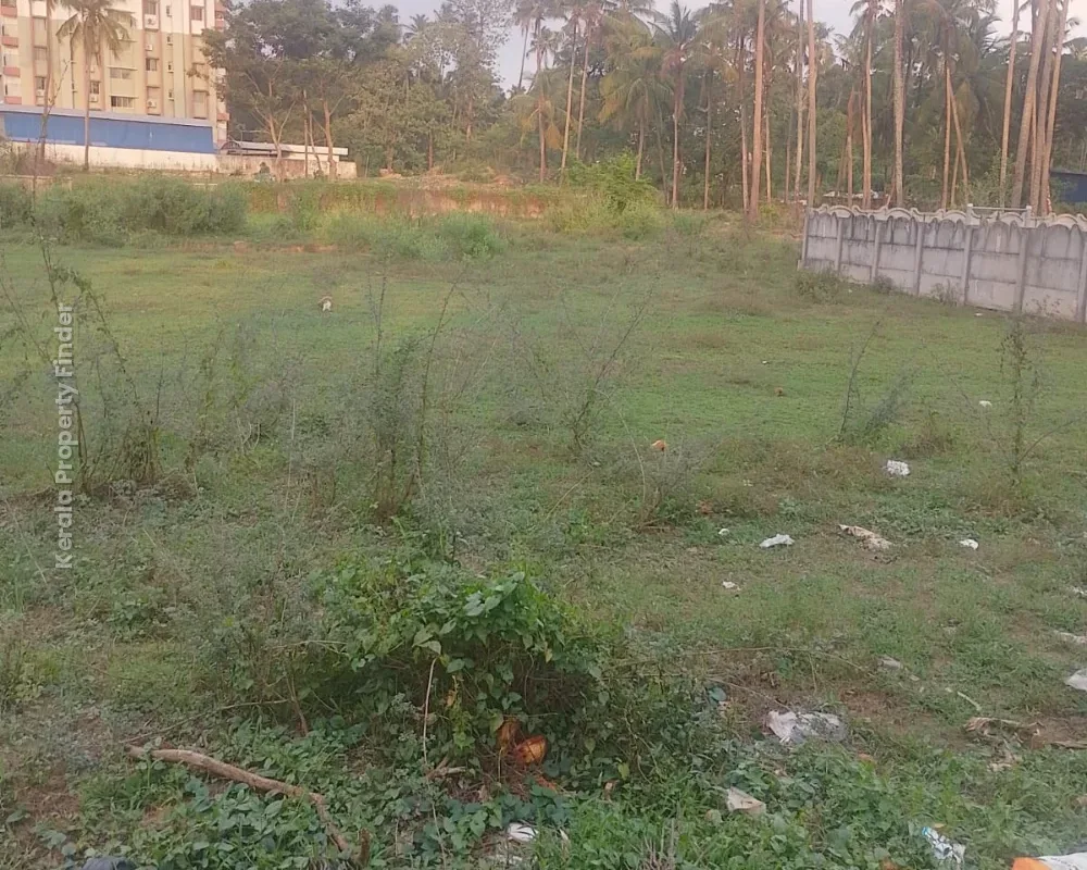 Premium Residential Land for Sale in Ollur, Thrissur - Photo 4