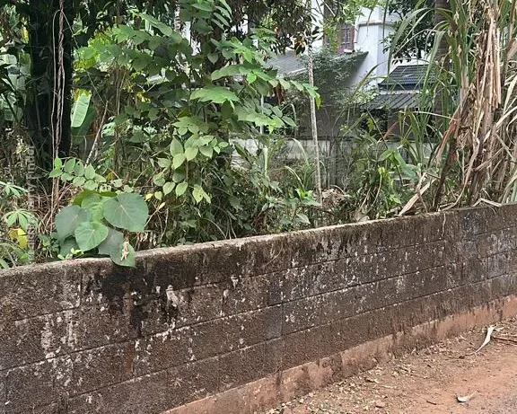 Residential Land-13.5 cent for sale in Viyyur- padukkad, Thrissur - Residential in Viyyur, Thrissur