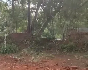 Commerical Land (Paramb) For sale in Mannuthy-Marathakkara Highway, Thrissur - Photo 5