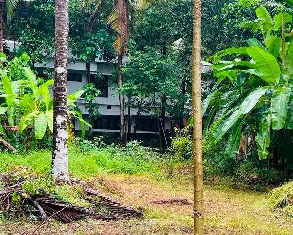 Residential Land-13.5 cent for sale in Viyyur- padukkad, Thrissur - Photo 5