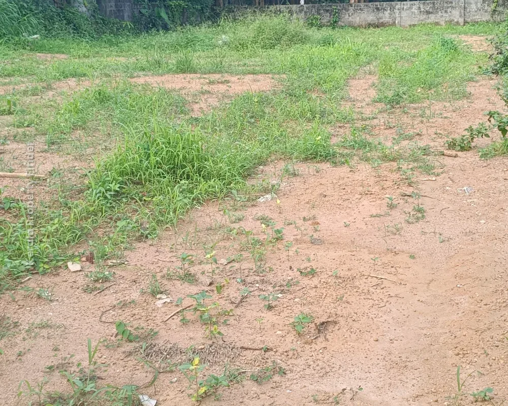 16 Cents Plot near Andoorkonam Junction,  Thiruvananthapuram - Residential in Andoorkonam, Thiruvananthapuram - photo 4