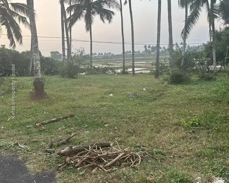 10 cents Residential Plot for Sale at Olari, Chettupuzha, Thrissur - Residential in Olari, Thrissur - photo 3
