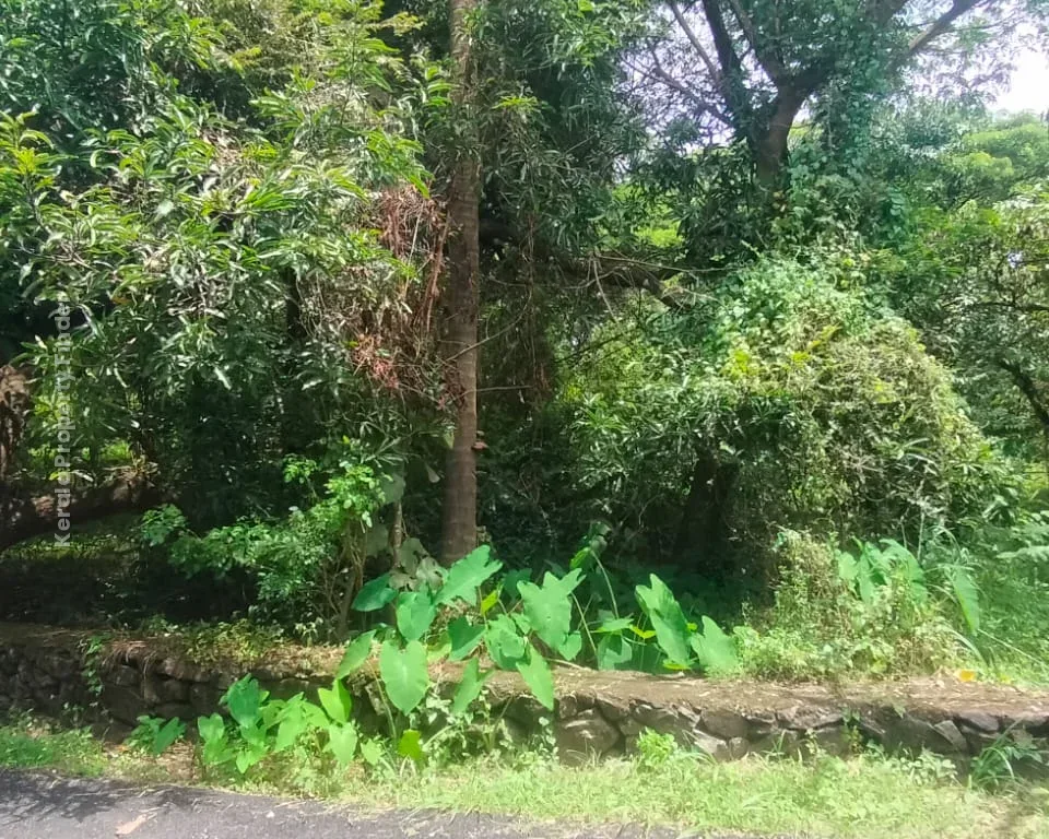 30-cent land for sale in Paravattani, Thrissur - Photo 4