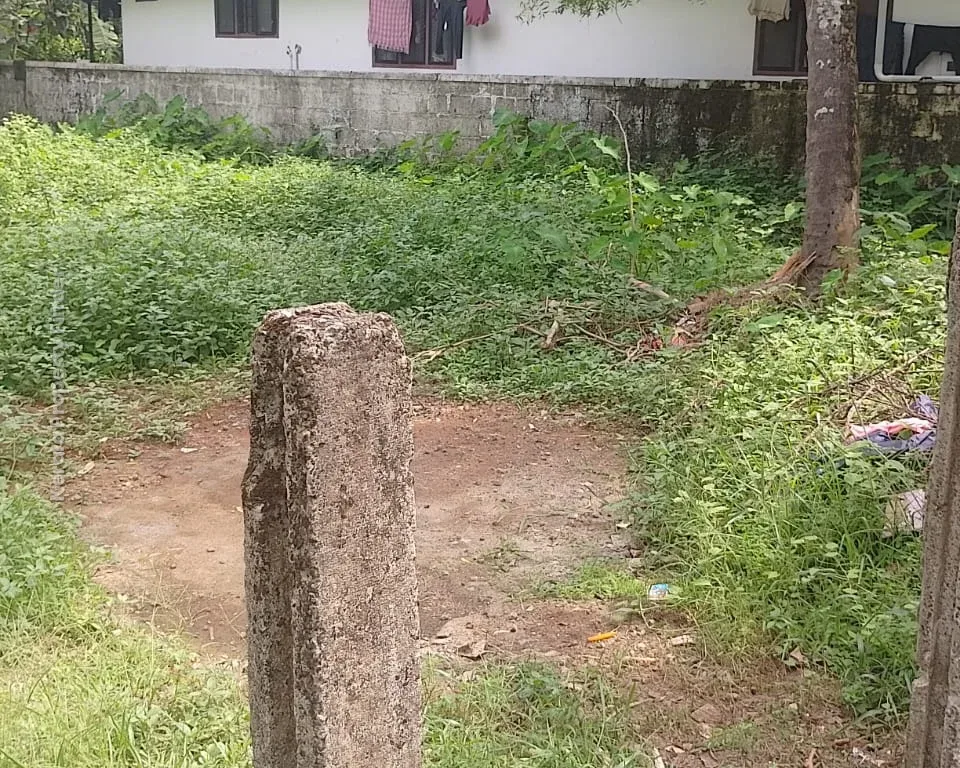 11.5 cents for Sale in Pallimoola, vimala college, Thrissur - Residential in Pallimoola, Thrissur