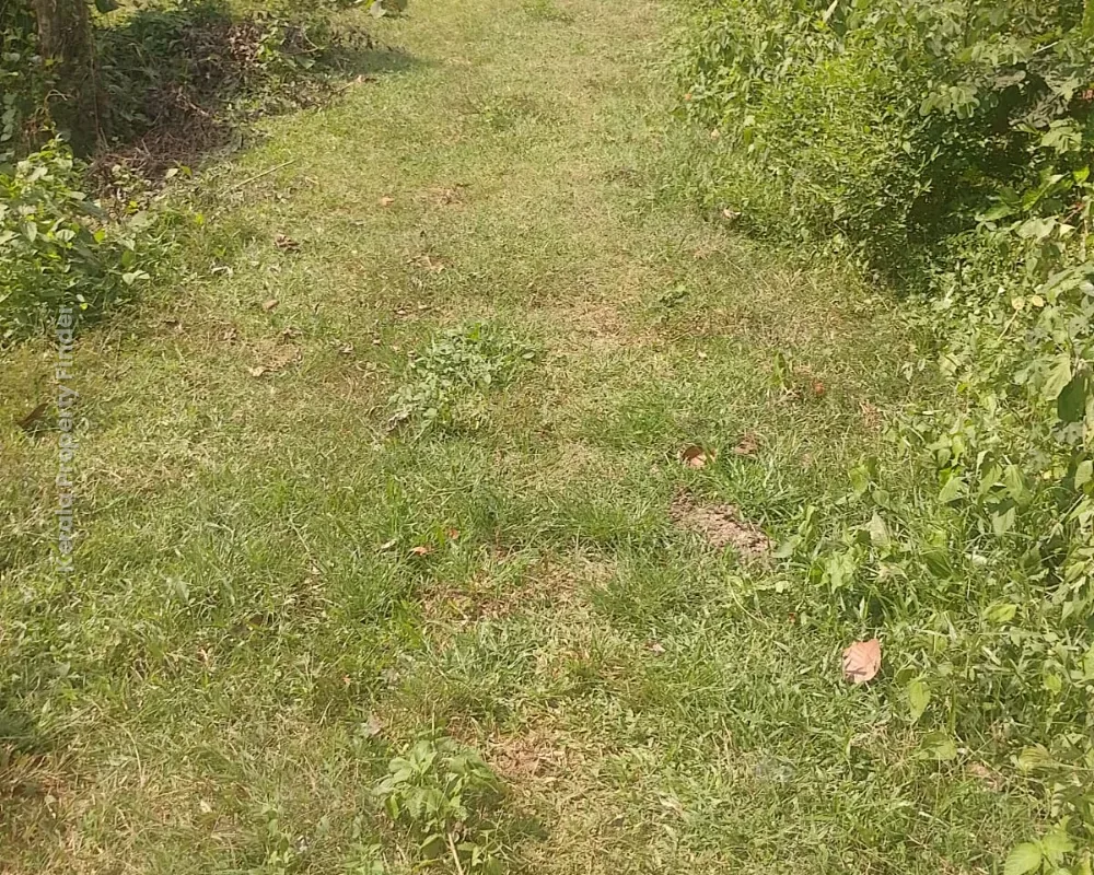 Residential Land for Sale  Poomala, Thrissur - Photo 3