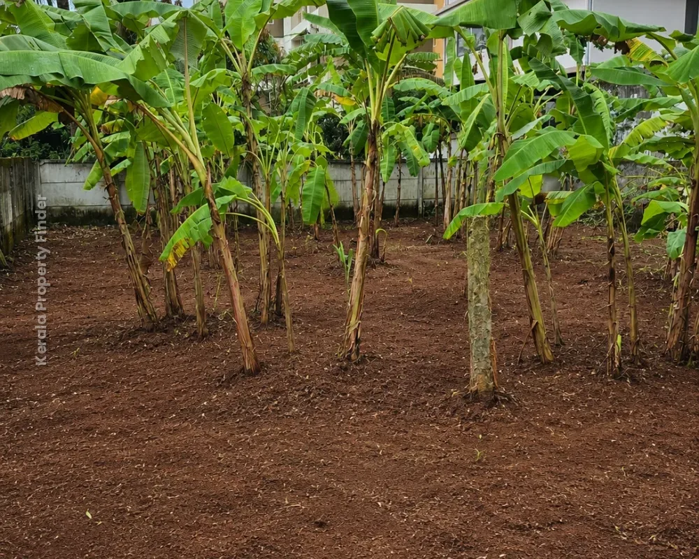 4.5 Cent Residential Plot for Sale  Kottapuram , Thrissur - Photo 5