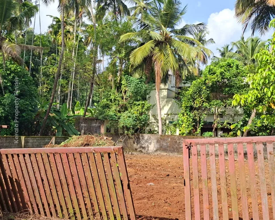 9 Cent Residential Land for Sale in Viyyur, Thrissur - Photo 2